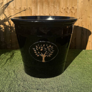 Lightweight Black Ascot Pot